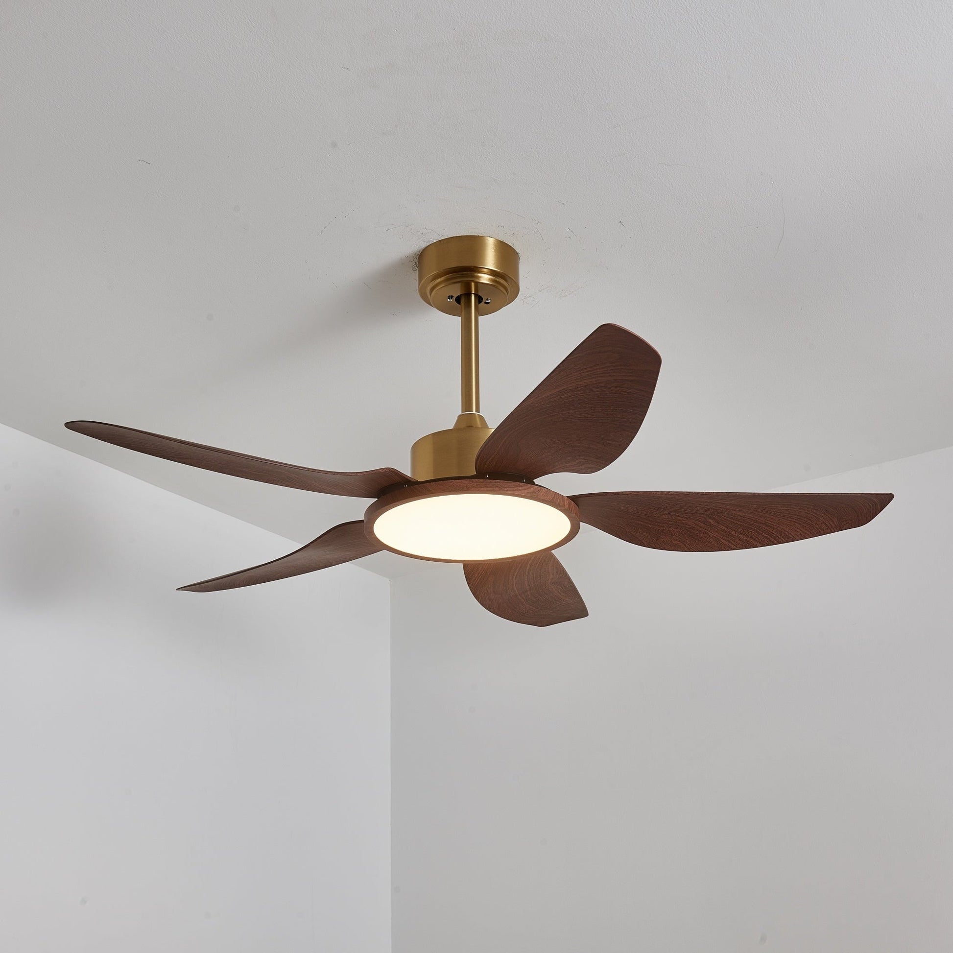 Sirocco Breeze Ceiling Fan Light 1001 Ceiling fan light