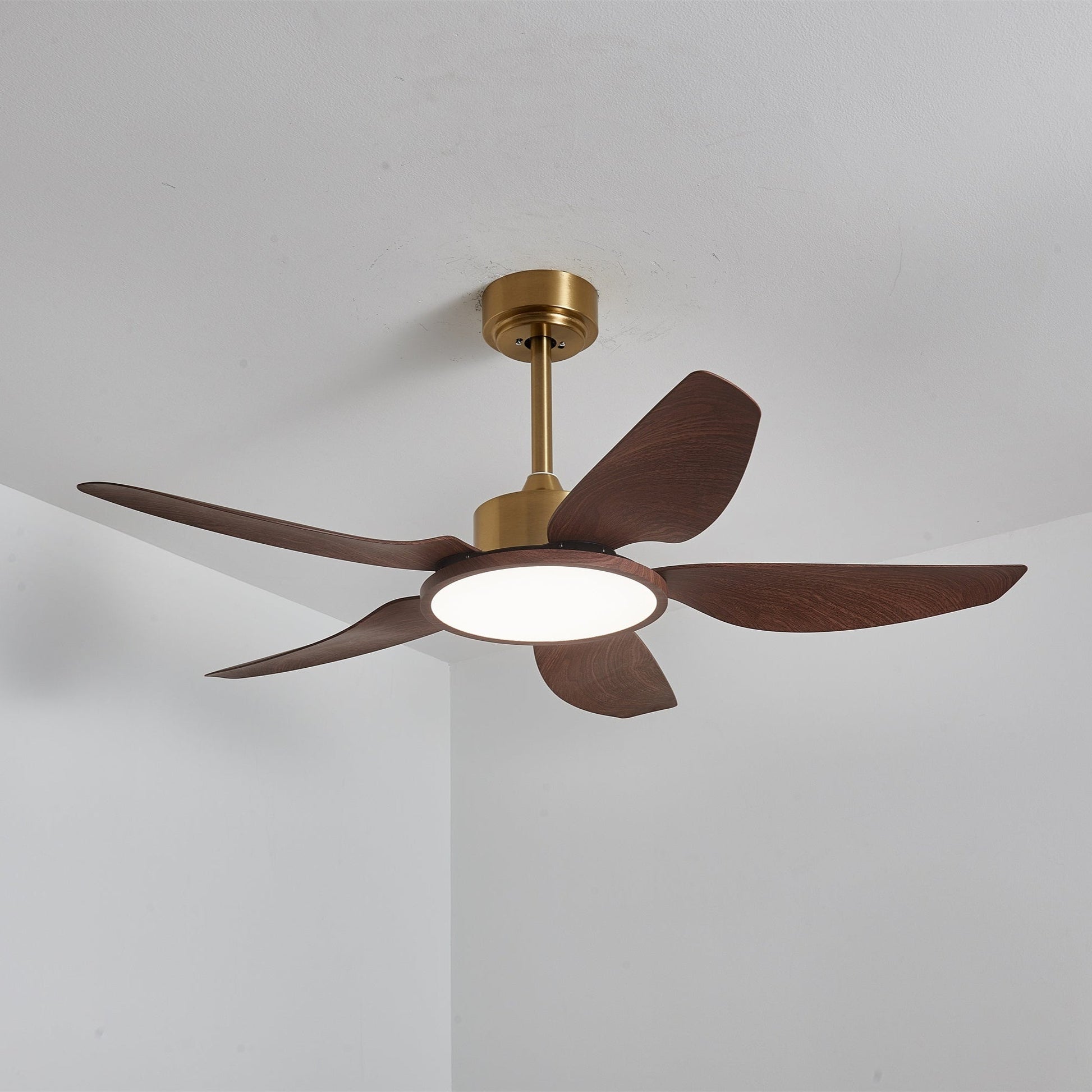 Sirocco Breeze Ceiling Fan Light 1001 Ceiling fan light