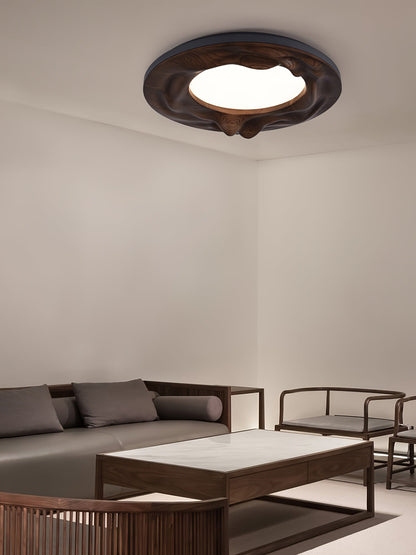 Sky Lake Ceiling Lamp Ceiling lamp