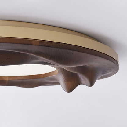 Sky Lake Ceiling Lamp Ceiling lamp