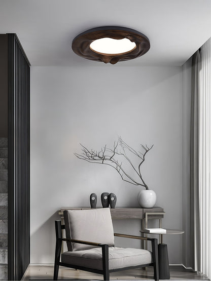 Sky Lake Ceiling Lamp Ceiling lamp