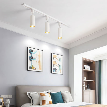 Sleek Cylinder Track Light Ceiling lamp