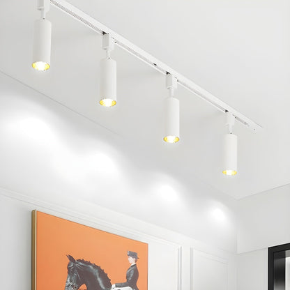 Sleek Cylinder Track Light Ceiling lamp