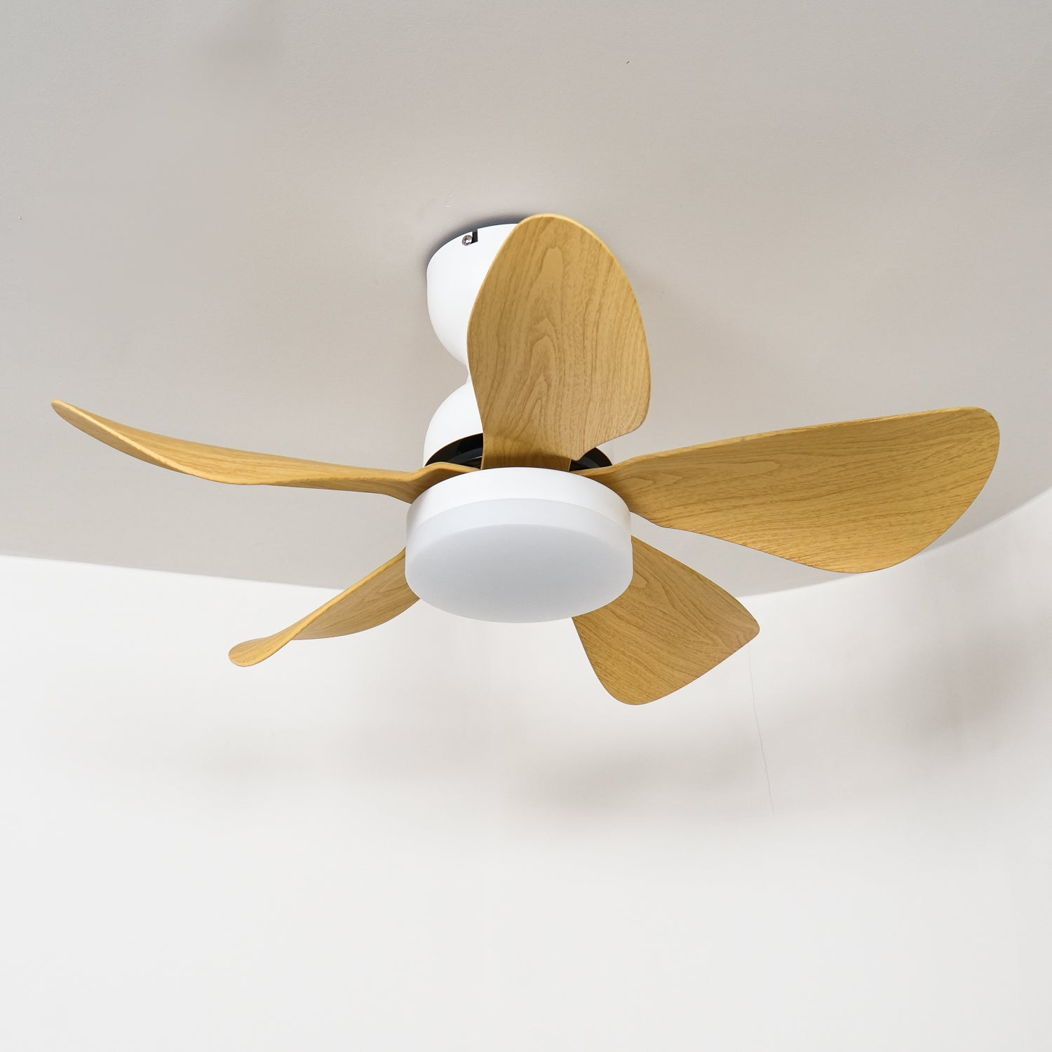 Small Arilia 29’’ Ceiling Fan Light Ceiling fan light