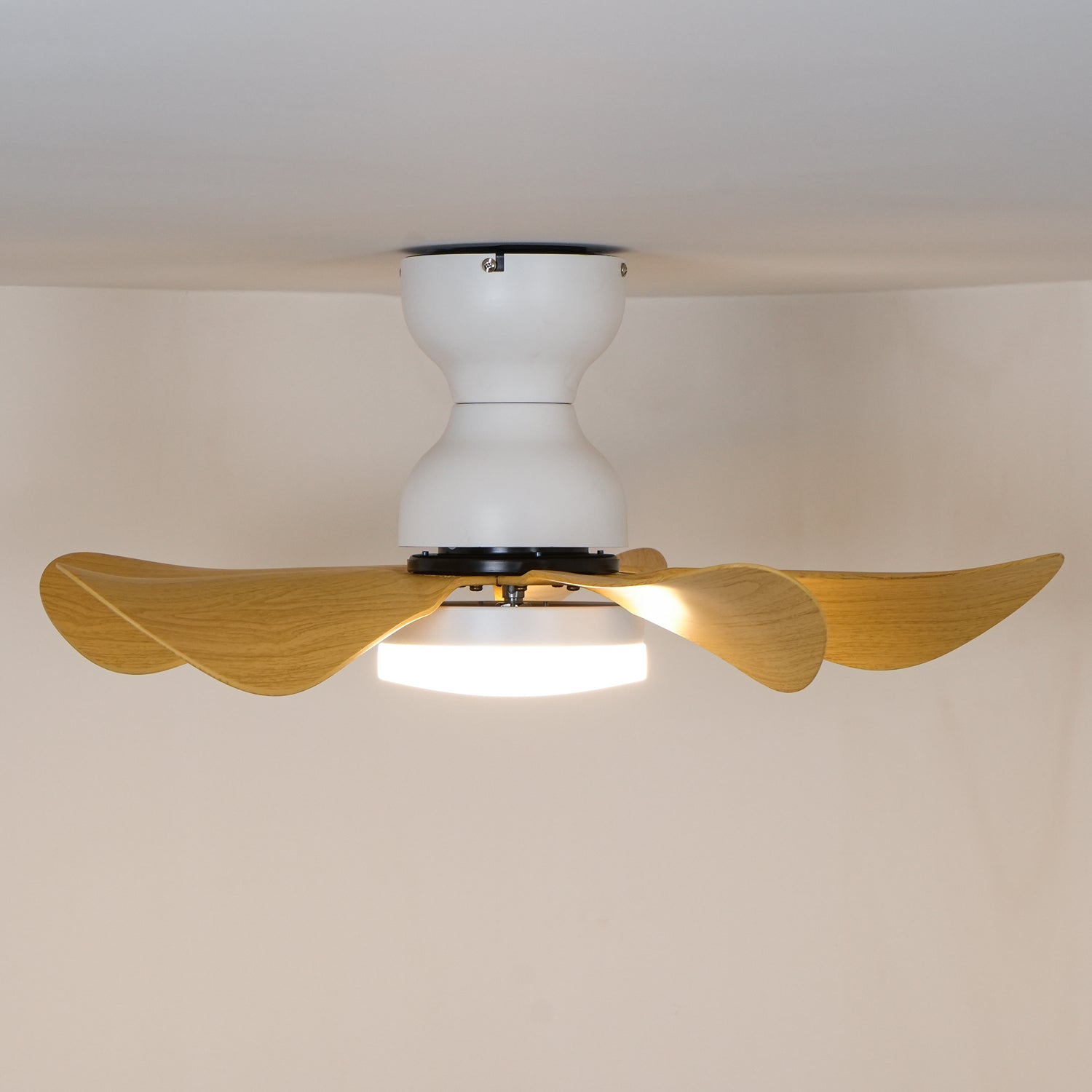 Small Arilia 29’’ Ceiling Fan Light Ceiling fan light