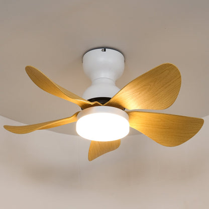 Small Arilia 29’’ Ceiling Fan Light Ceiling fan light
