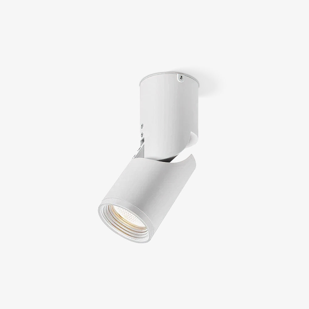 Sunny LED Spotlights Ceiling lamp