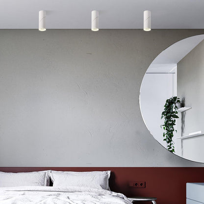 Sunny LED Spotlights Ceiling lamp