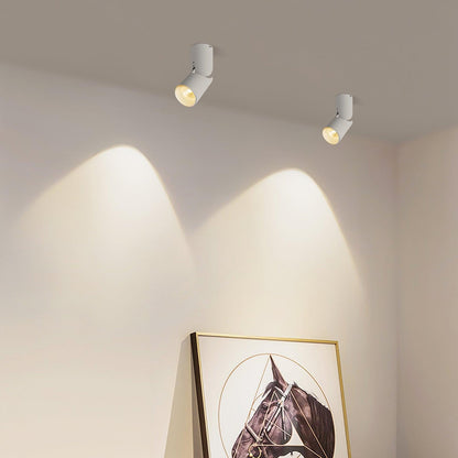 Sunny LED Spotlights Ceiling lamp