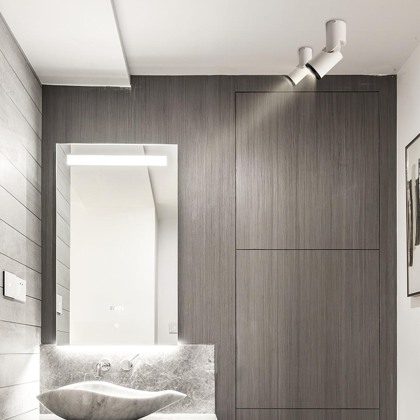 Sunny LED Spotlights Ceiling lamp