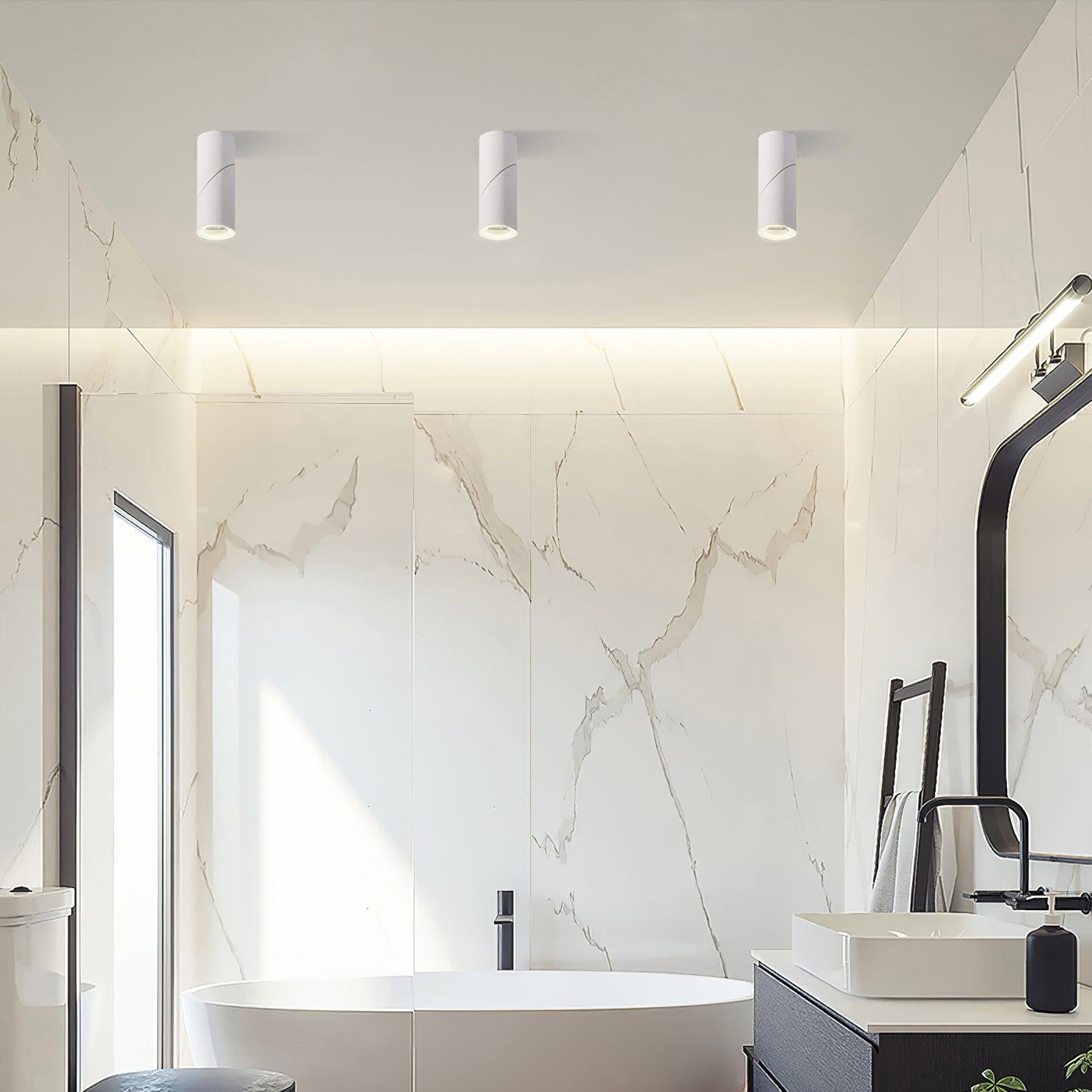 Sunny LED Spotlights Ceiling lamp