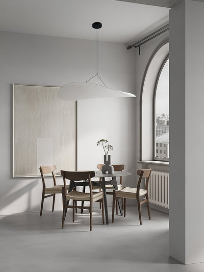 Tense Pendant Swag Light 1001 Pendant light