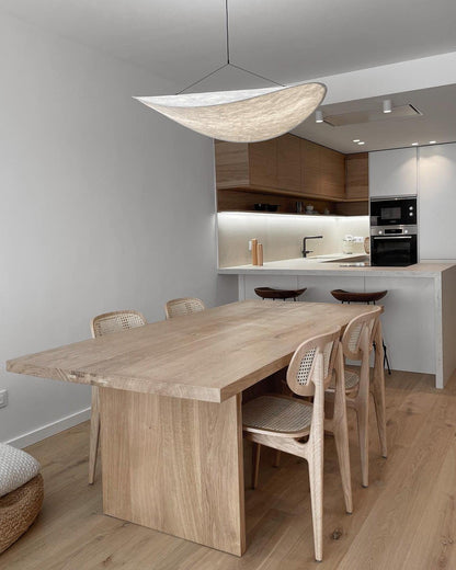 Tense Pendant Swag Light 1001 Pendant light