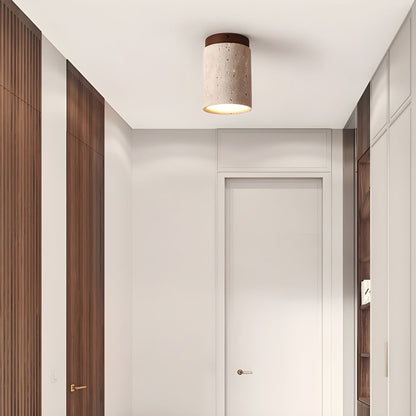 Terra Cylinder Ceiling Light Ceiling lamp