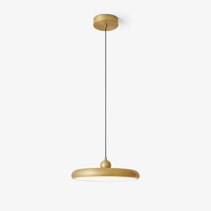 Thin Disc Pendant Lamp Pendant light