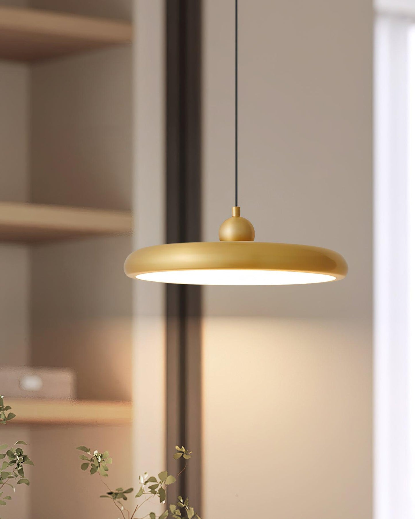 Thin Disc Pendant Lamp Pendant light
