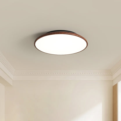 Thin Geometry Shape Ceiling Lamp Ceiling lamp