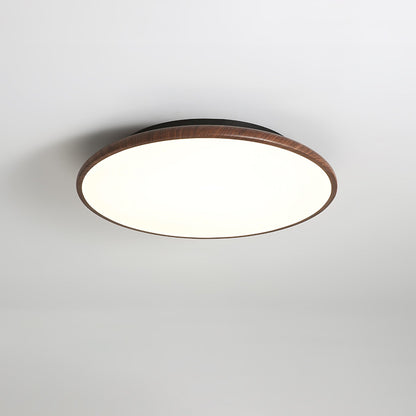 Thin Geometry Shape Ceiling Lamp Ceiling lamp