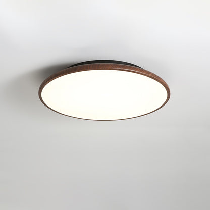 Thin Geometry Shape Ceiling Lamp Ceiling lamp
