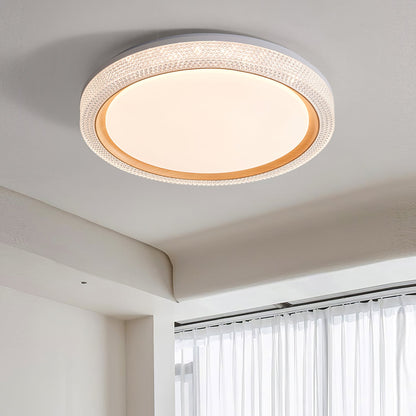 Thin Round Ceiling Lamp Ceiling lamp