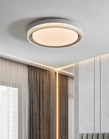 Thin Round Ceiling Lamp Ceiling lamp