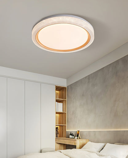 Thin Round Ceiling Lamp Ceiling lamp