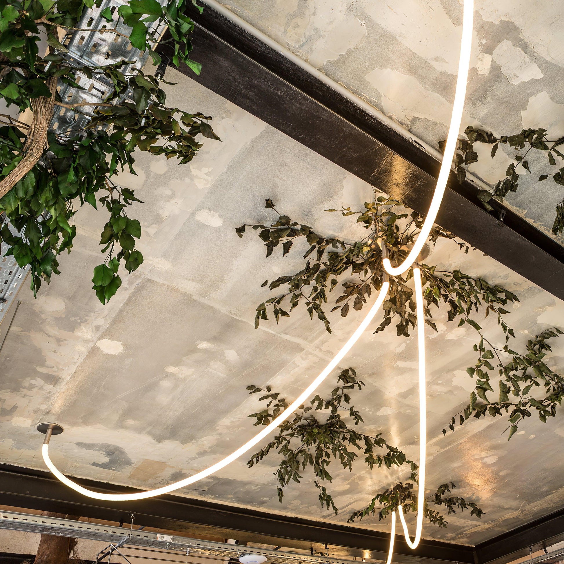 Flexible Curve linear Pendant Lamp Pendant light