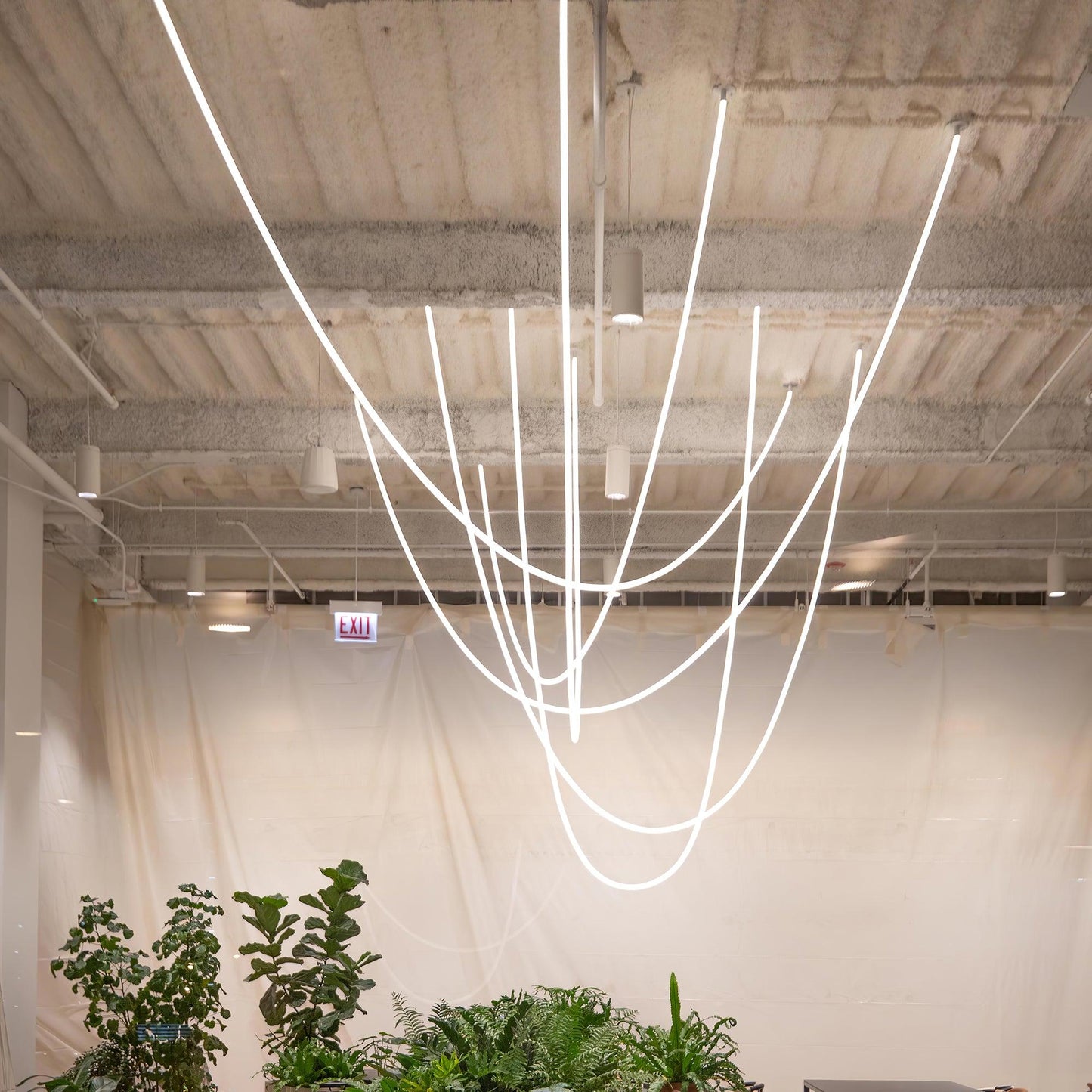 Flexible Curve linear Pendant Lamp Pendant light