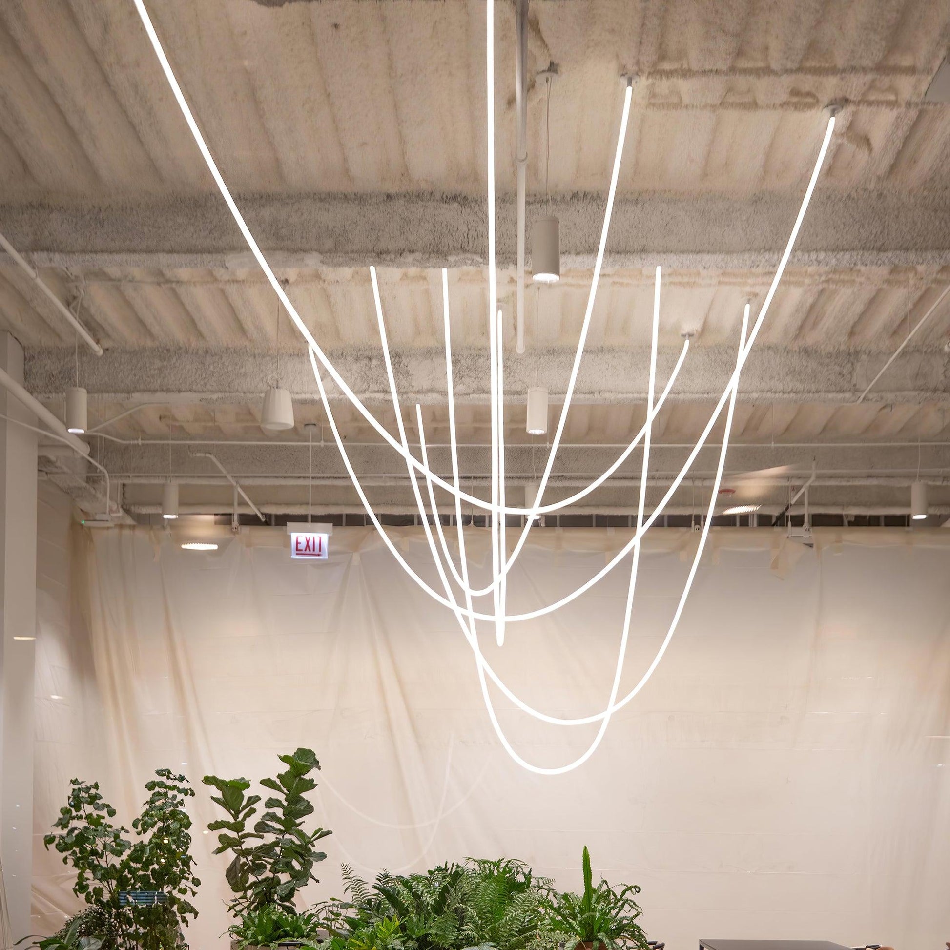 Flexible Curve linear Pendant Lamp Pendant light