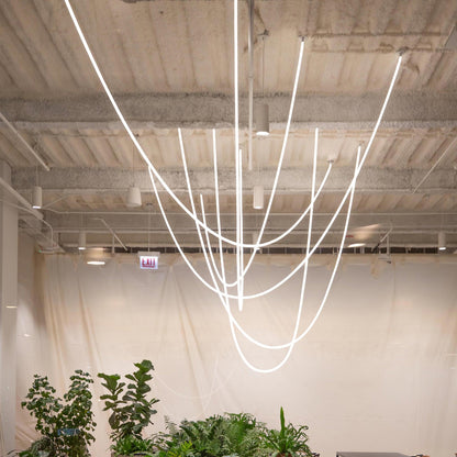 Flexible Curve linear Pendant Lamp Pendant light