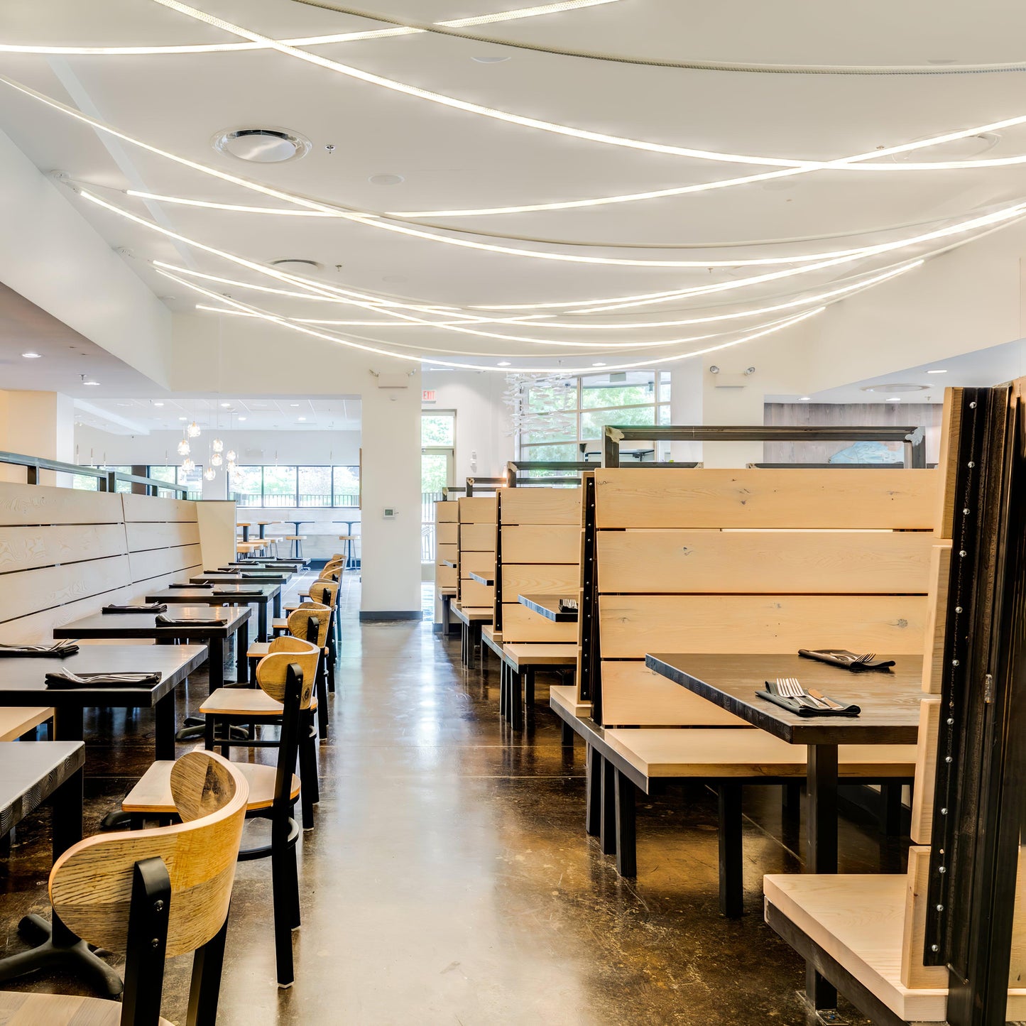 Flexible Curve linear Pendant Lamp Pendant light