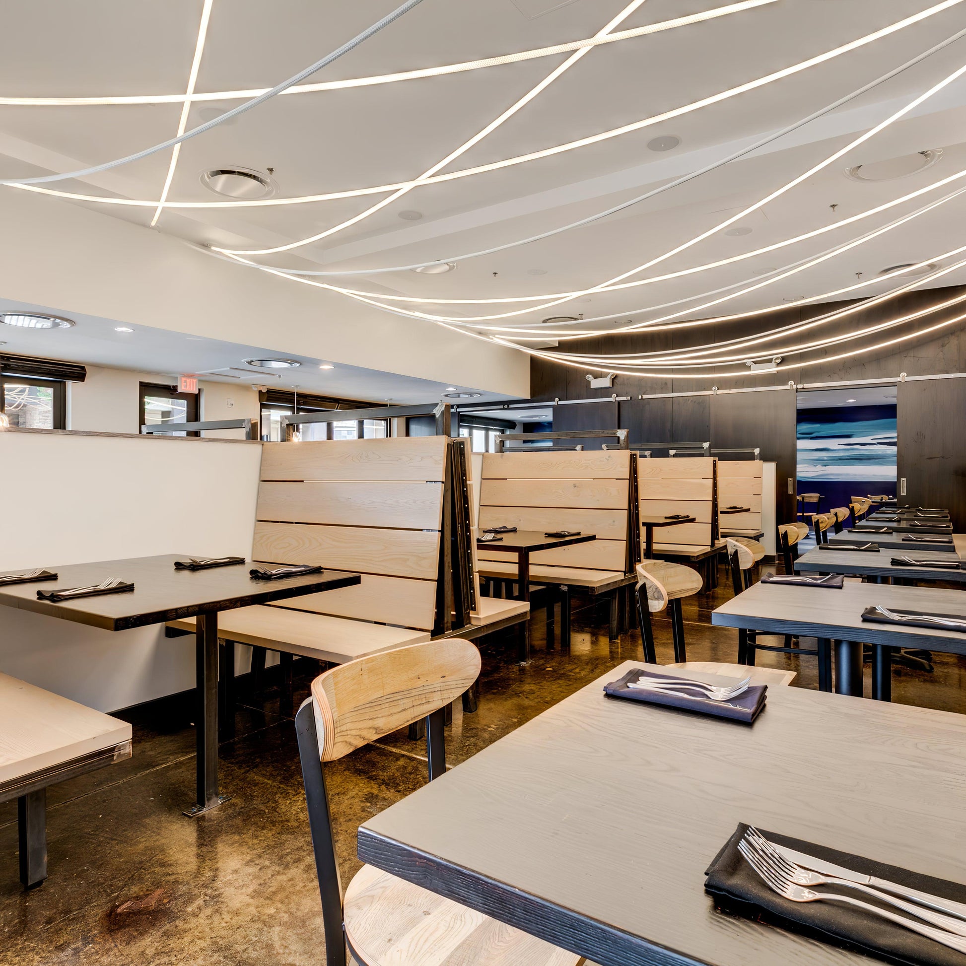 Flexible Curve linear Pendant Lamp Pendant light