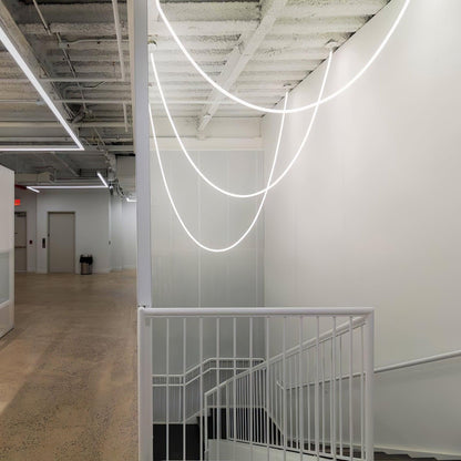 Flexible Curve linear Pendant Lamp Pendant light