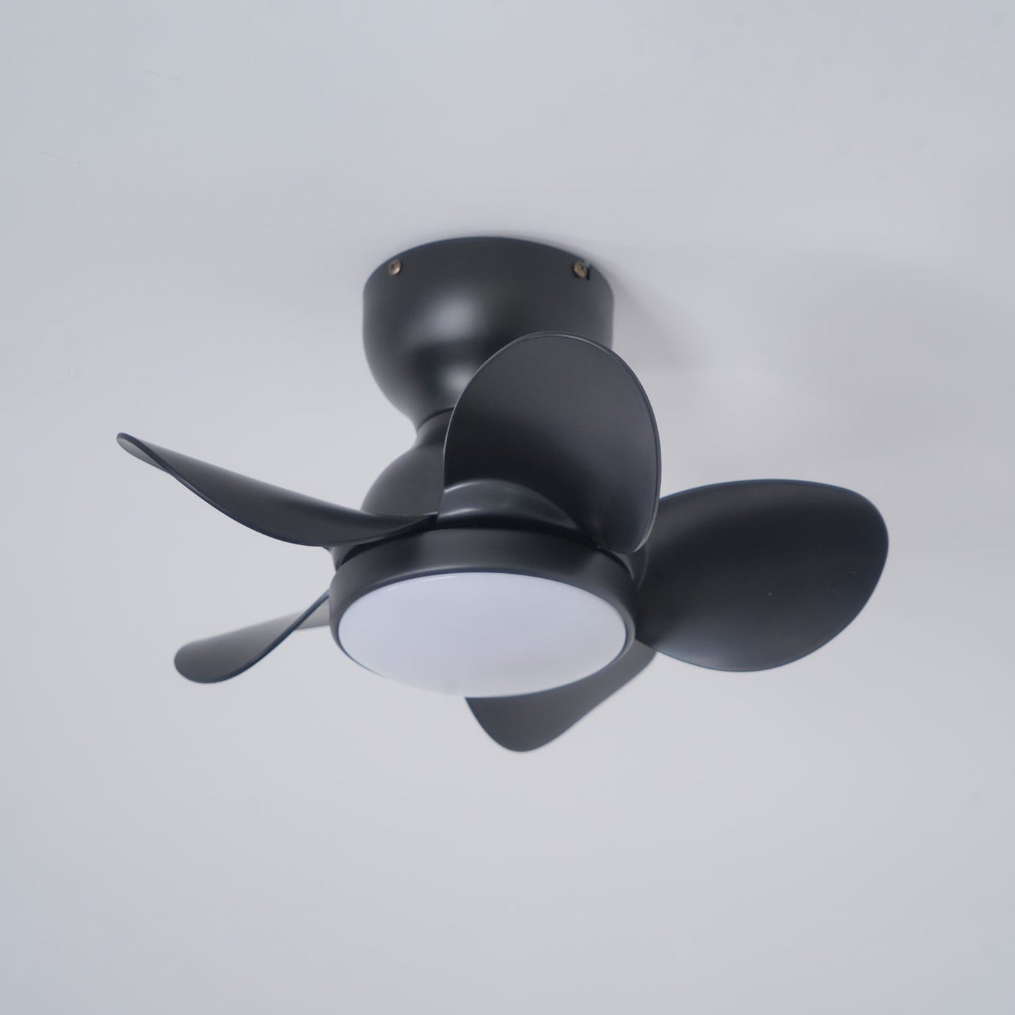 Trailblazer 18’’ Ceiling Fan Light Ceiling fan light