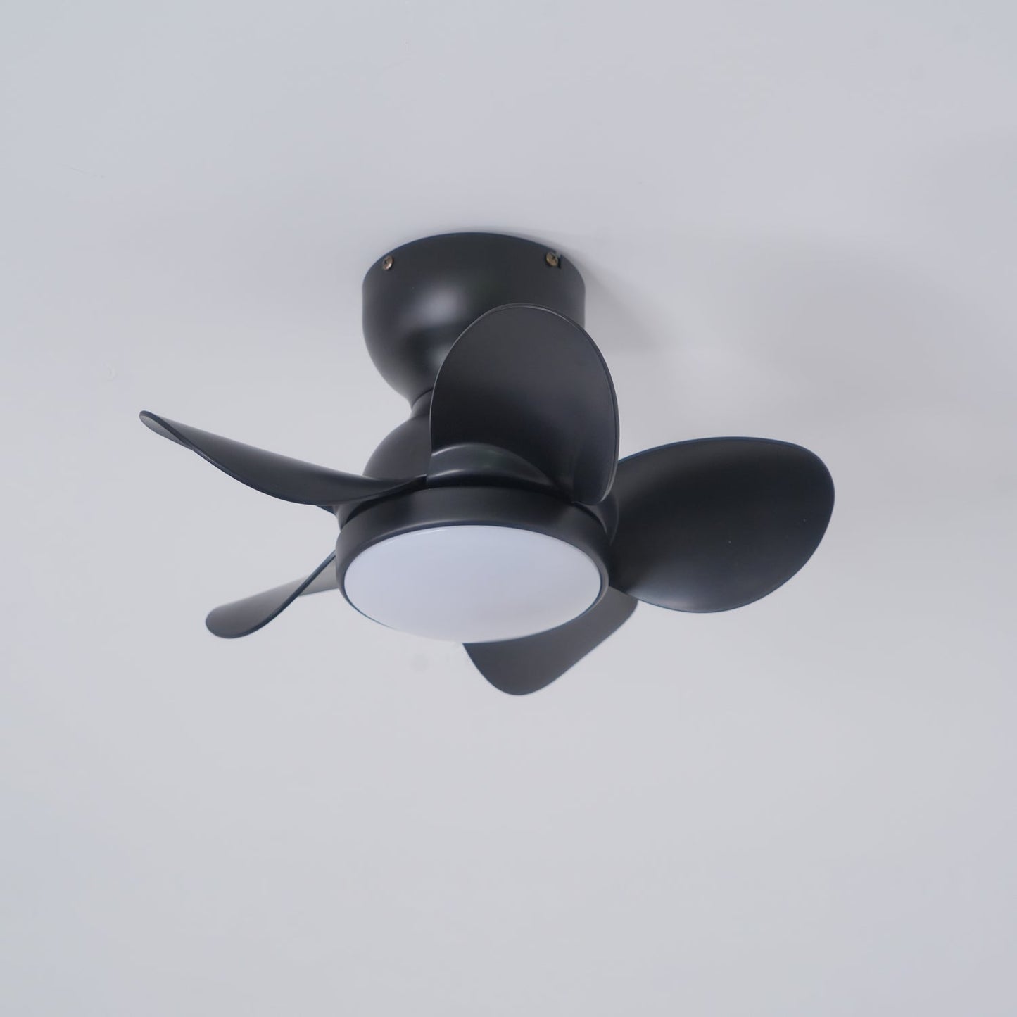 Trailblazer 18’’ Ceiling Fan Light ? 18″ x H 9.8″ / Black Ceiling fan light