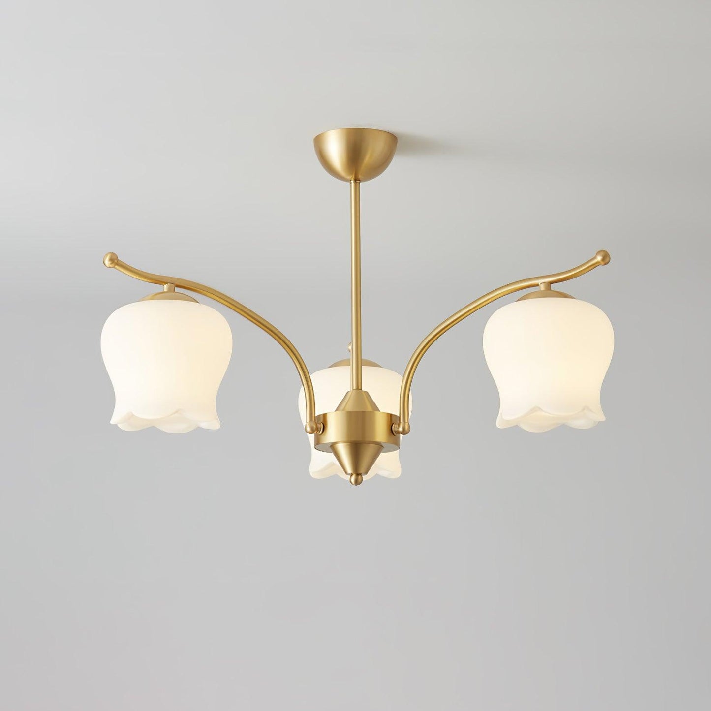 Tulip Brass Chandelier 3 heads ? 25.6″ x H 16.5″ / Dia 65cm x H 42cm / Brass & White Chandelier
