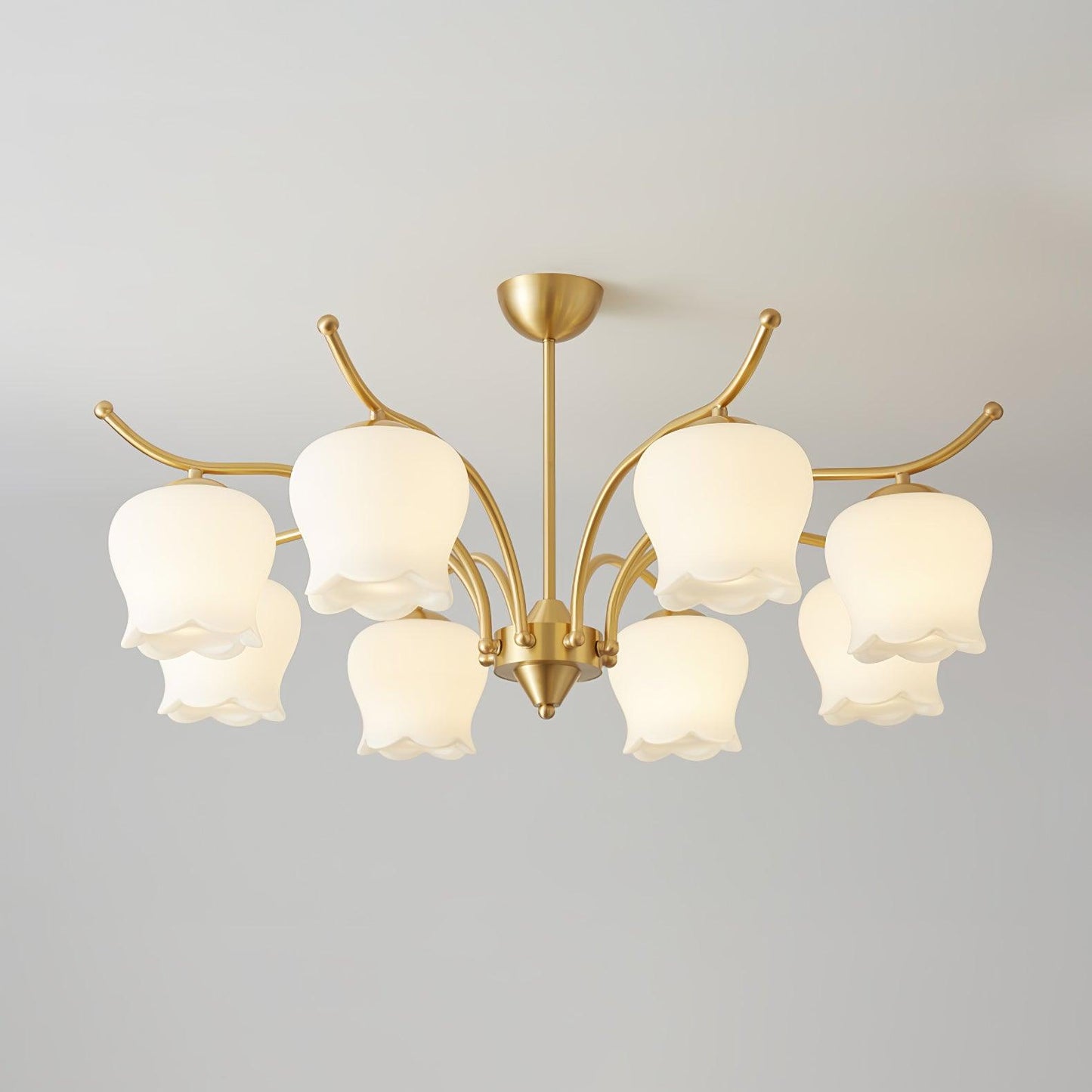 Tulip Brass Chandelier 8 heads ? 33.5″ x H 16.5″ / Dia 85cm x H 42cm / Brass & White Chandelier