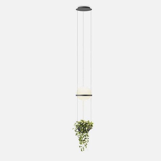 Palma Planter LED Pendant