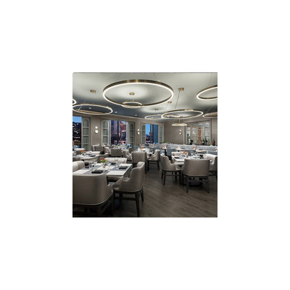 Ring LED Pendant Light