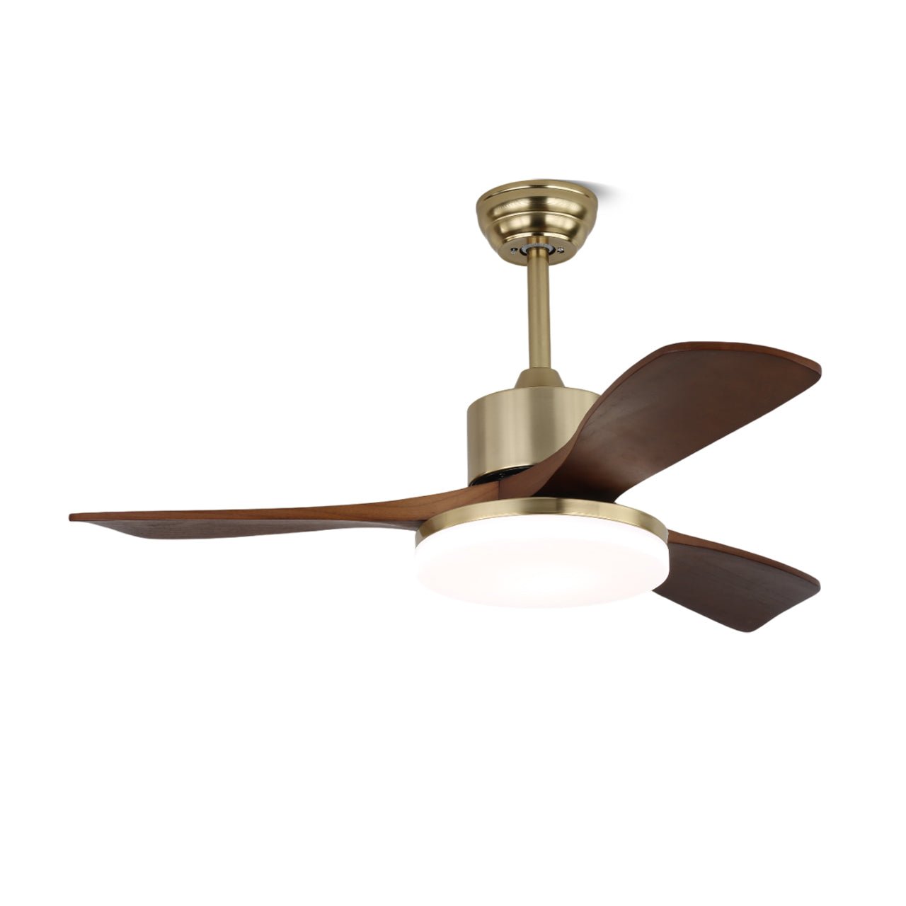Vega Ceiling Fan Light 1001 Ceiling fan light