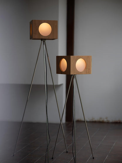 Vintage Tripod Camera Floor Lamp Floor lamp