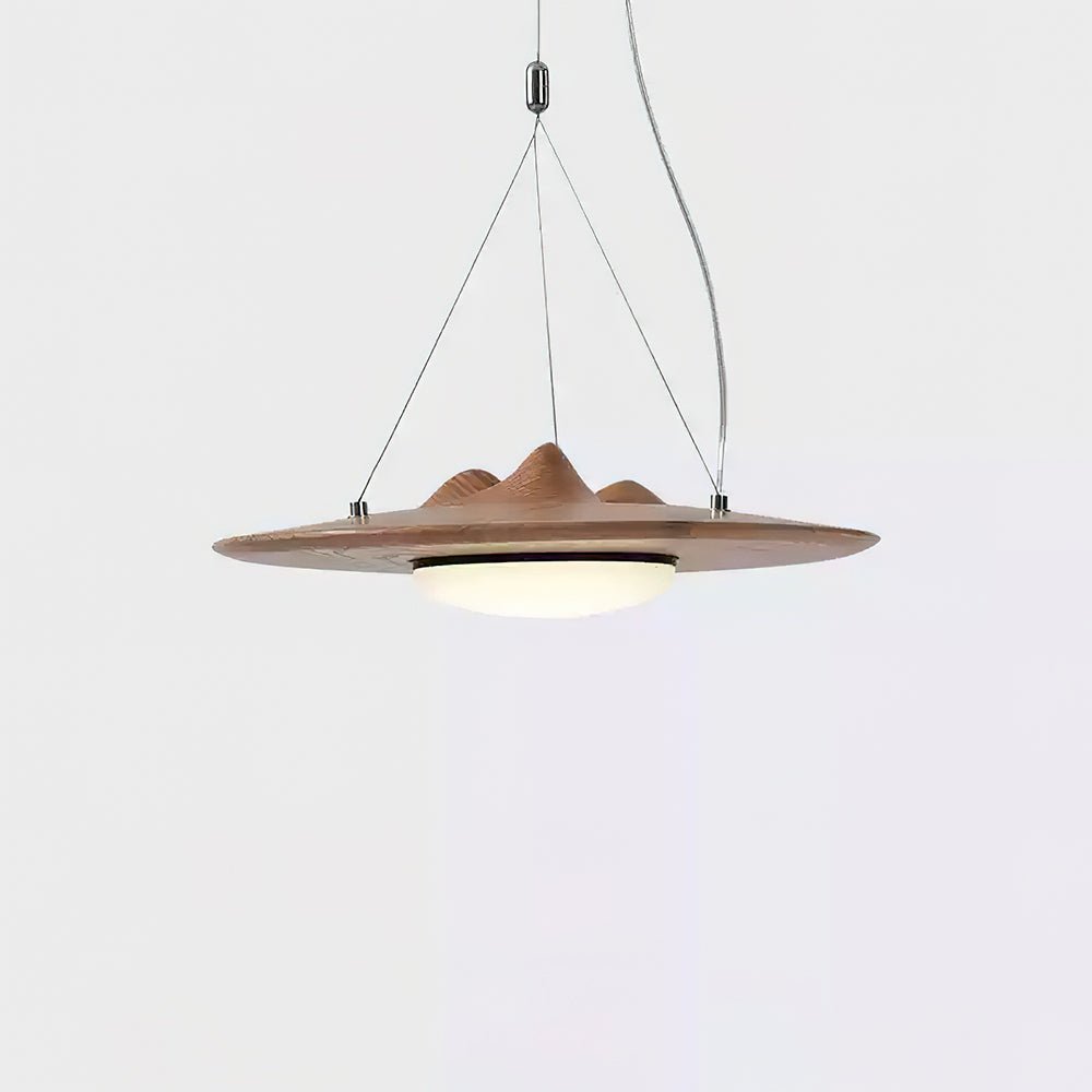 Wanderer Pendant Lamp Dia 11.8″ x H 11.8″ / Wood Color / Warm Light Pendant light