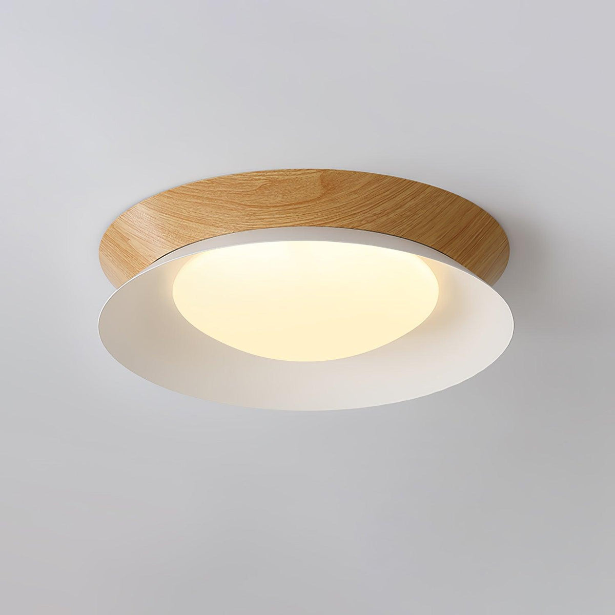 Double Half Round Ceiling Light Ceiling lamp