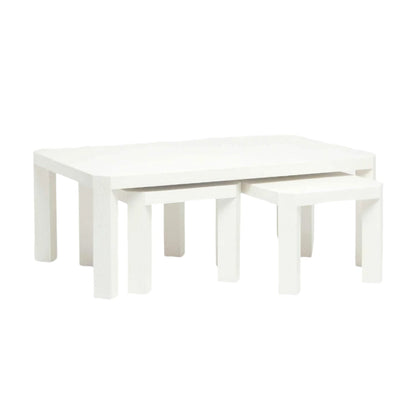 Taylam Rectangular Nesting Coffee Table