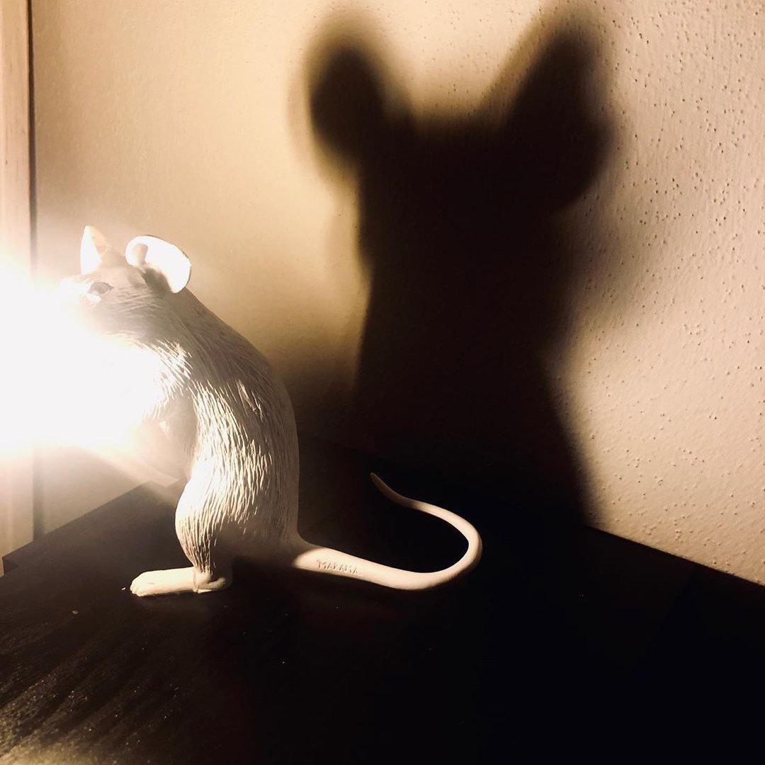 Mouse Table Light Table lamp
