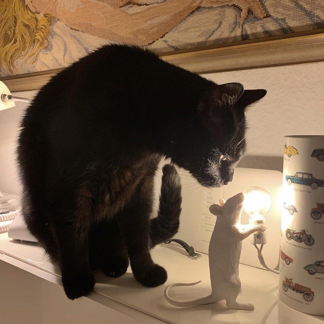 Mouse Table Light Table lamp