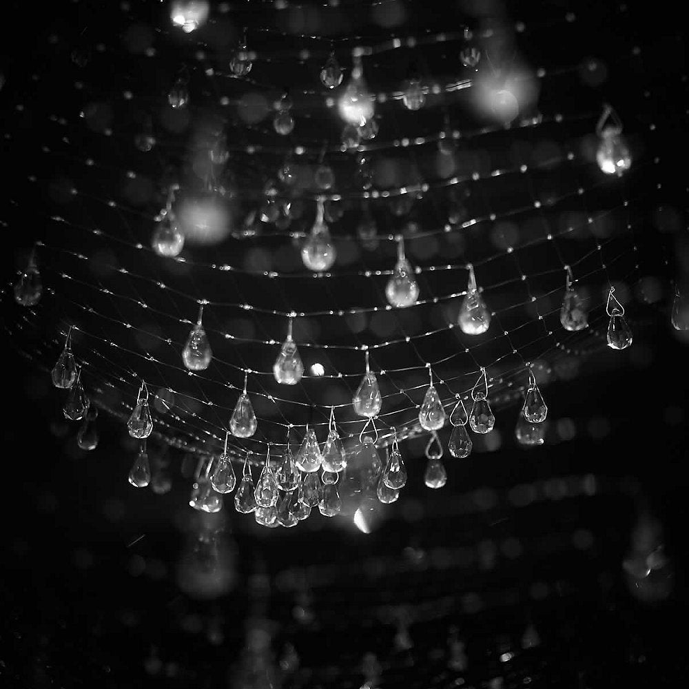 Lacrime del Pescatore Ceiling Light